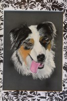 /album/galerie-photos/photo-1426-jpg/